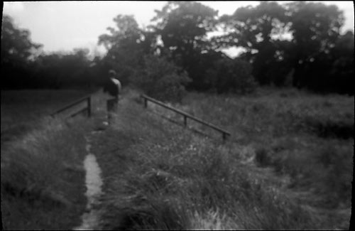 Walk on the dyke Copyright ⓒ 2008 Cate McRae; All Rights Reserved reserved