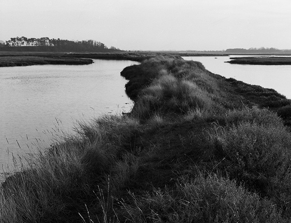 Estuary Grass and Full Tide, East Anglia, Copyright ⓒ 2008 Cate McRae; All Rights Reserved reserved