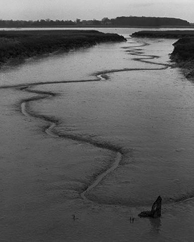 Estuary, East Anglia 3, Copyright ⓒ 2008 Cate McRae; All Rights Reserved reserved