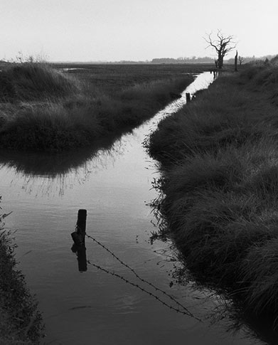 Full Tide, East Anglia, Copyright ⓒ 2008 Cate McRae; All Rights Reserved reserved