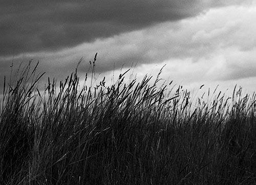 Storm Brewing, East Anglia, Copyright ⓒ 2006 Cate McRae; All Rights Reserved reserved