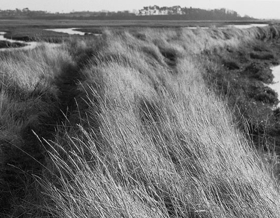 Grass Walk, East Anglia, Copyright ⓒ 2008 Cate McRae; All Rights Reserved reserved