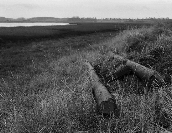 Old Boat Ladder, East Anglia, Copyright ⓒ 2008 Cate McRae; All Rights Reserved reserved
